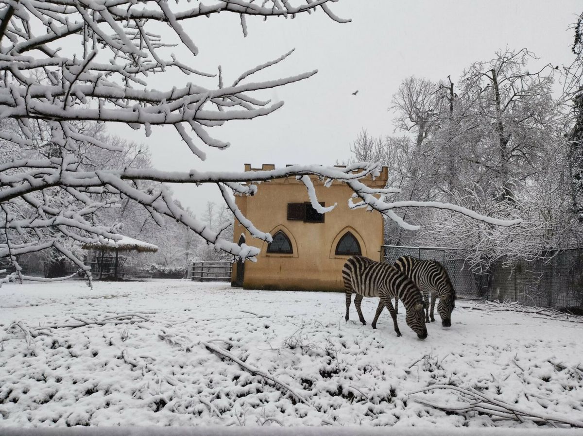 Program 'Ma tko spava zimi?!' održava se u zagrebačkom zoo vrtu - 5