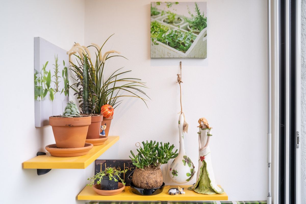 Stvorite svoj vlastiti zeleni kutak unutar samog boravka