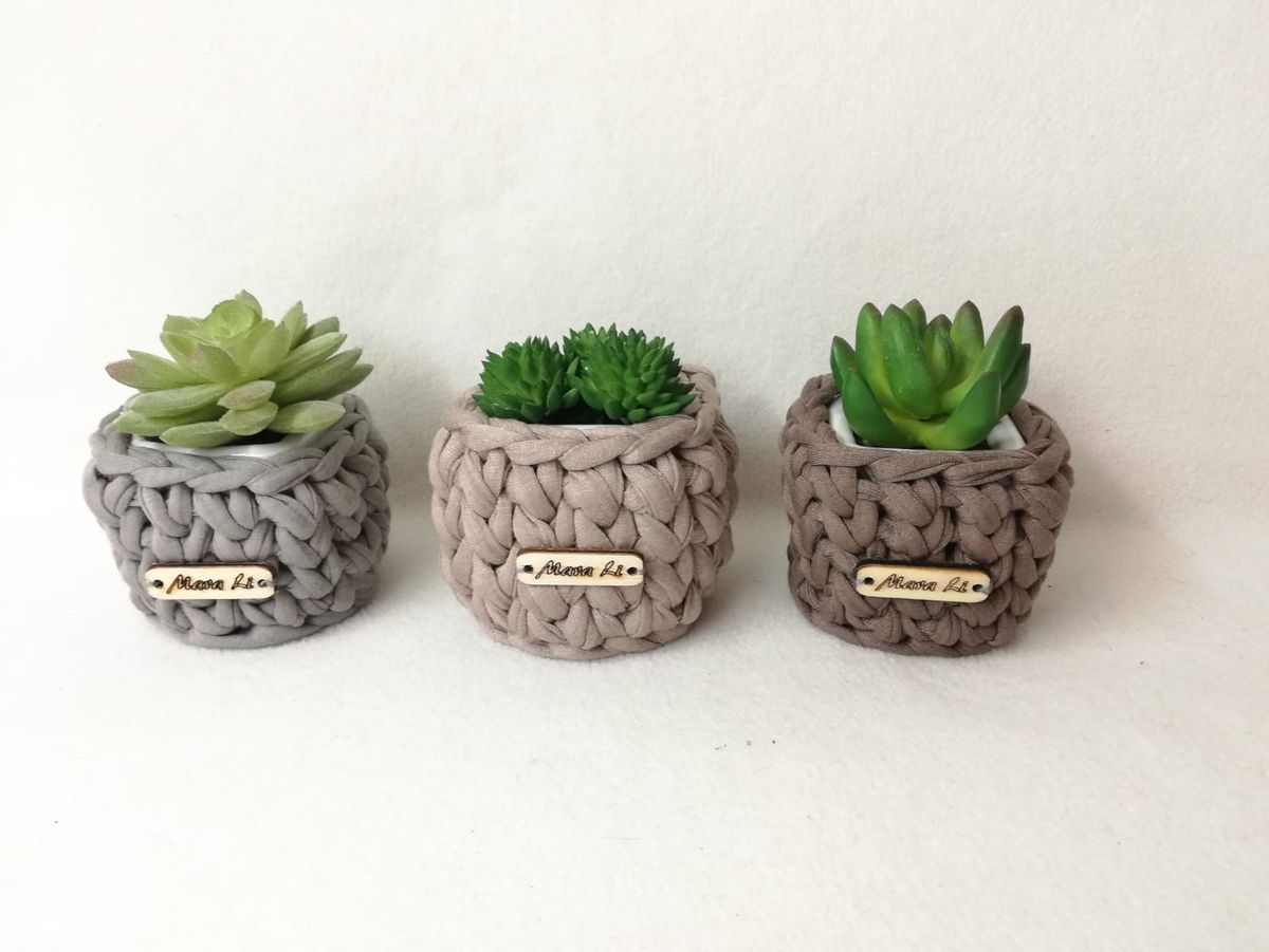 I sukulenti će naći svoje mjesto u košaricama