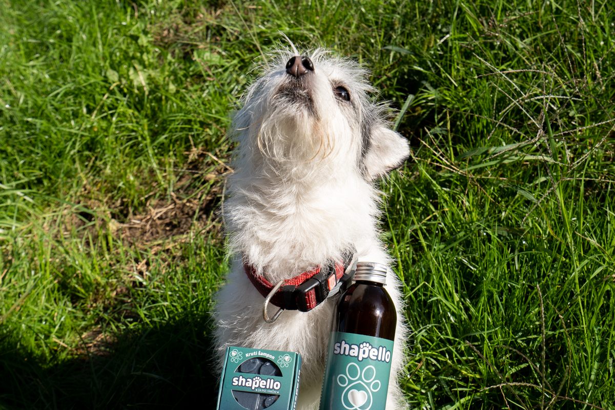 Shapello ne sadržava sulfate, parabene, umjetna bojila niti mirise