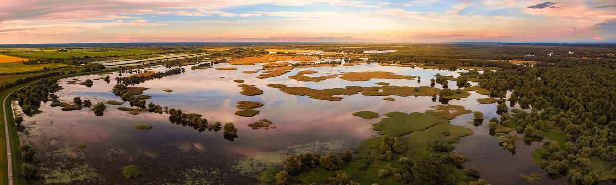 Park prirode Kopački rit - Ivo Biočina