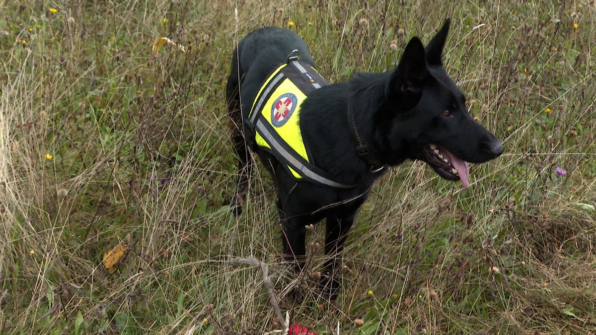 Mali heroji na Sljemenu