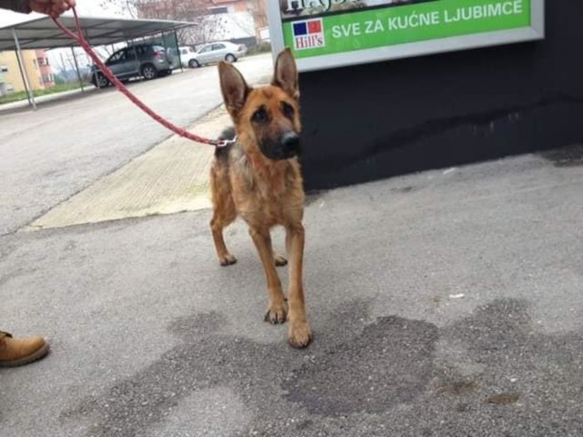 Tužna Saharina priča ipak je imala sretan kraj - 6