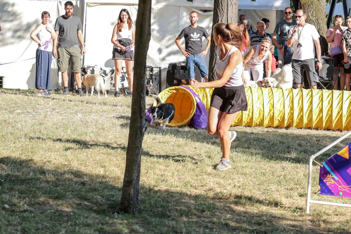 Festival pasa svih rasa održava se na zagrebačkom Tuđmancu povodom Svjetskog dana zaštita životinja - 1