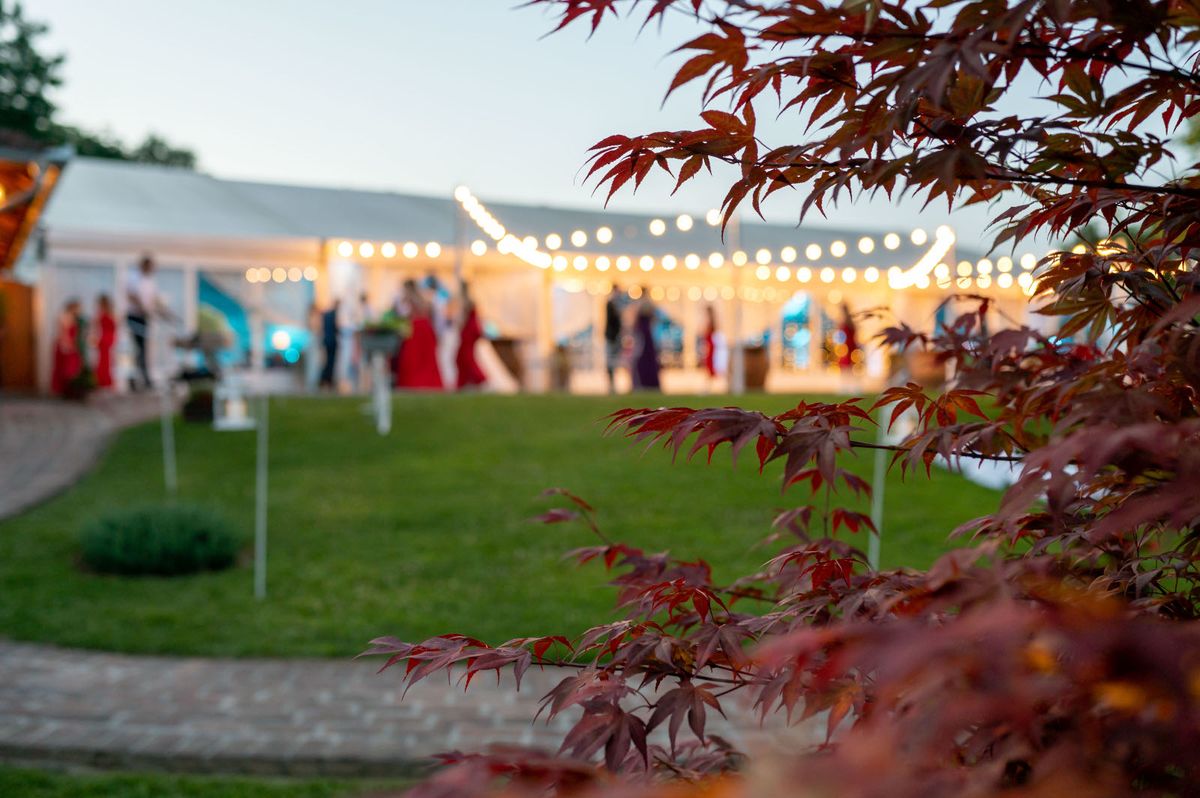 Vila Bilogore organizira i dnevna vjenčanja - 18