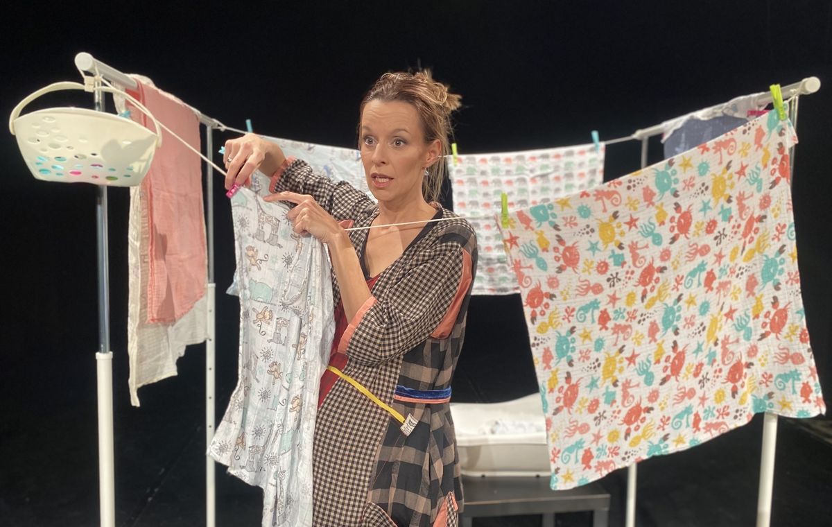 Jelena Hadži-Manev, Dnevnik supermame