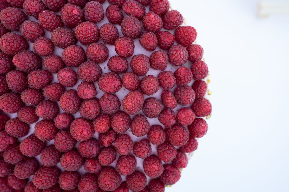 Blind tasting za prste polizati: Najslađa avantura na prvom Festivalu torti u Zagrebu