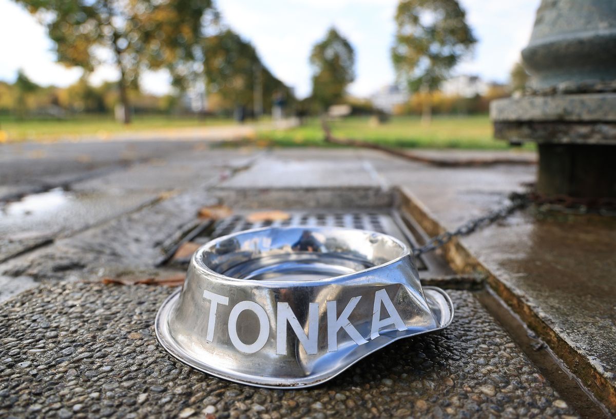 Inženjer strojarstva Tomislav Kenjerić iz Zagreba postavio je 36 metalnih posudica za pse ispod javnih zdenaca kako bi ljubimci tijekom šetnje mogli piti vodu - 7