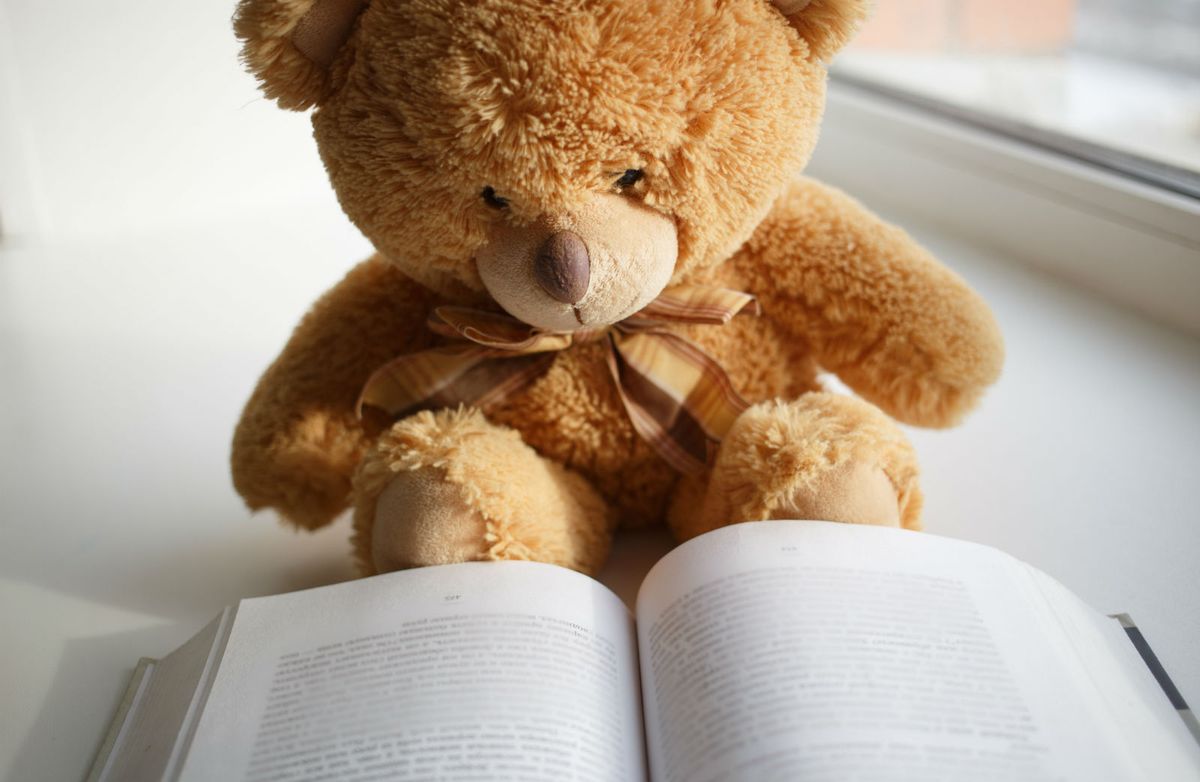 Medvjedić čita knjigu