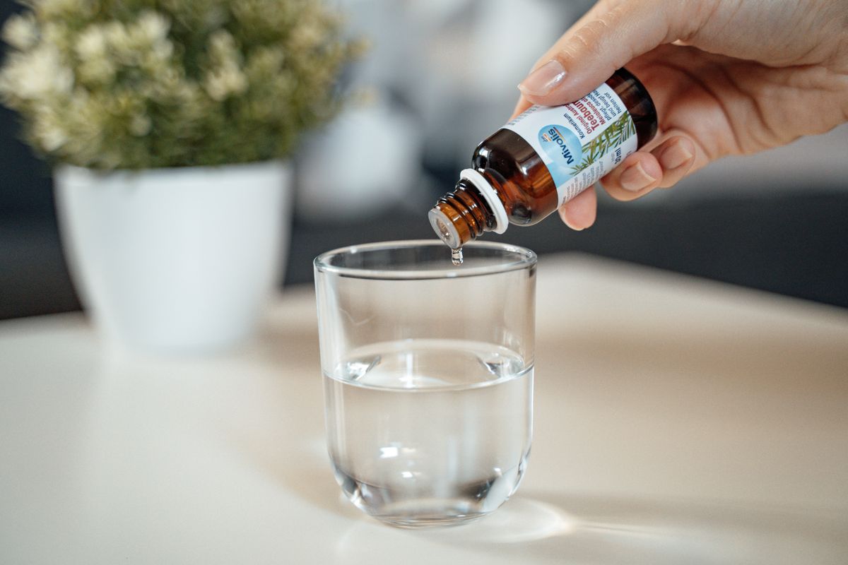 Mivolis ulje čajevca