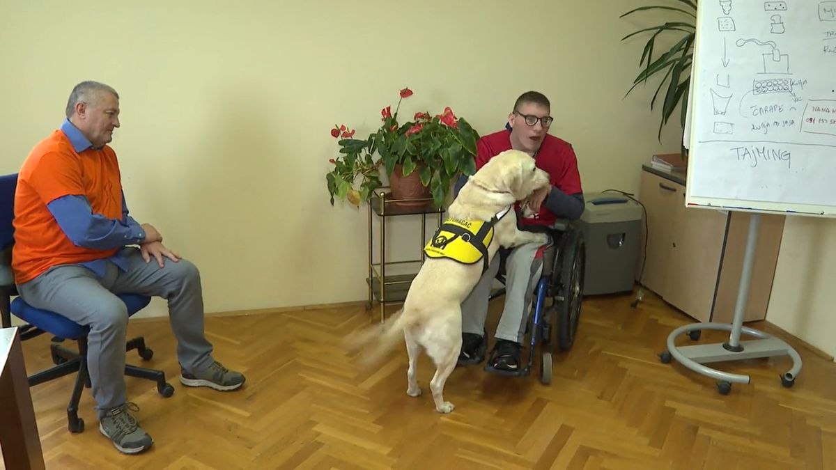 Radni psi iz Udruge za školovanje pasa vodiča i mobilitet - 1