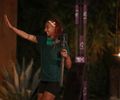 Survivor 2.5. - 2