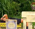 Survivor, ep. 35, 2. dio, najava - 10