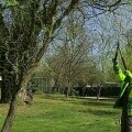 Čuvanje socijalne pomoći radom - 4