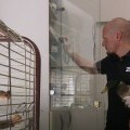 Provjereno: Spas zaštićenih vrsta - 1