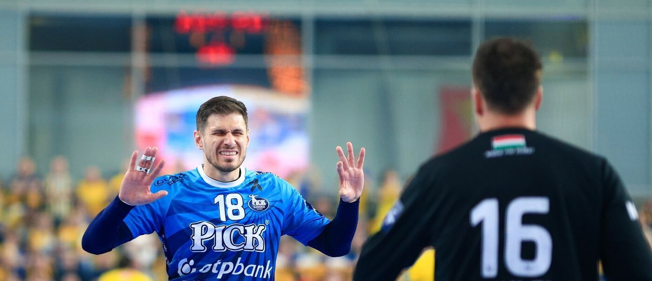 Marin Jelinić