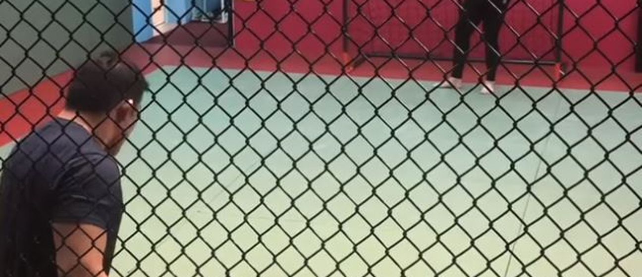 Cro Cop i Satoshi Ishii (Screenshot)