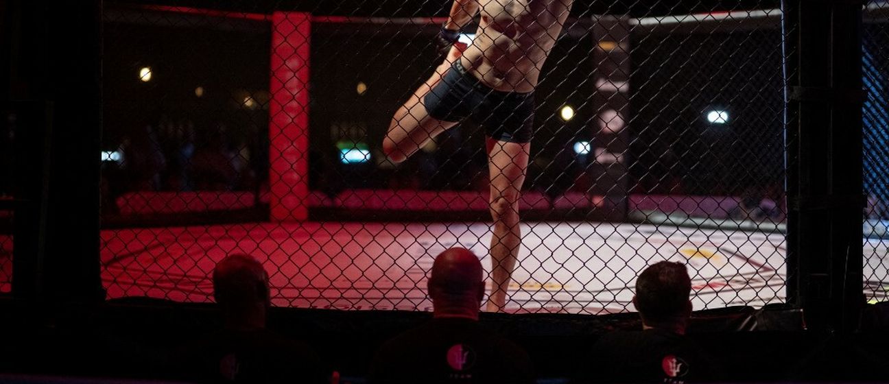 MMA oktagon (ilustracija)