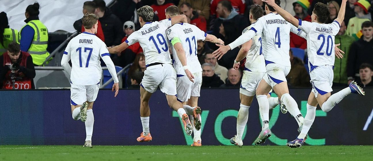 Slavlje reprezentacije BiH