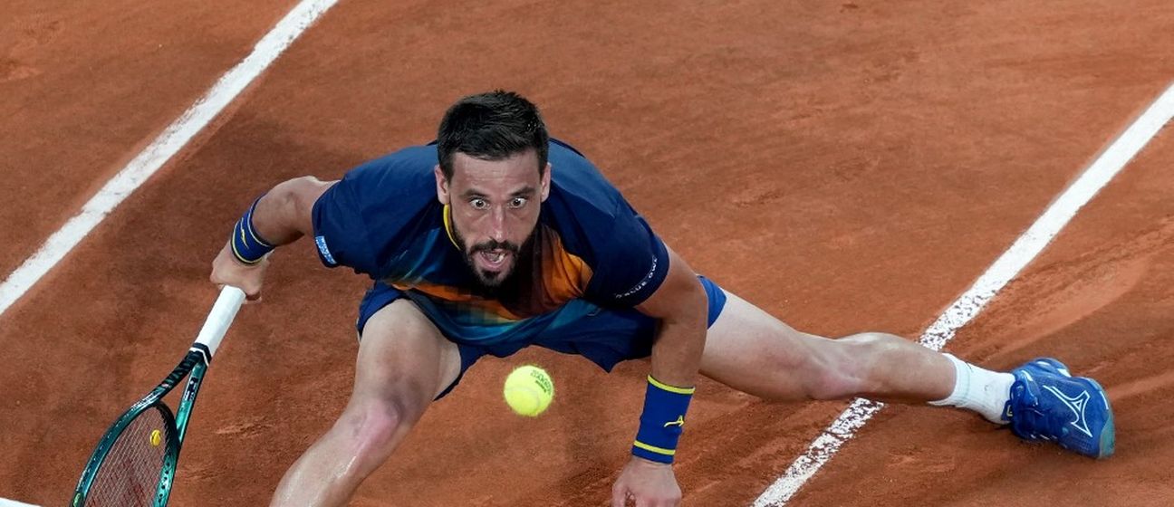 Damir Džumhur