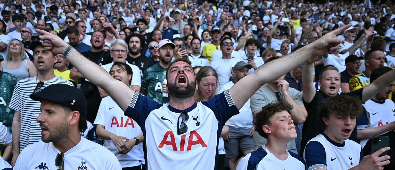 Navijač Tottenhama