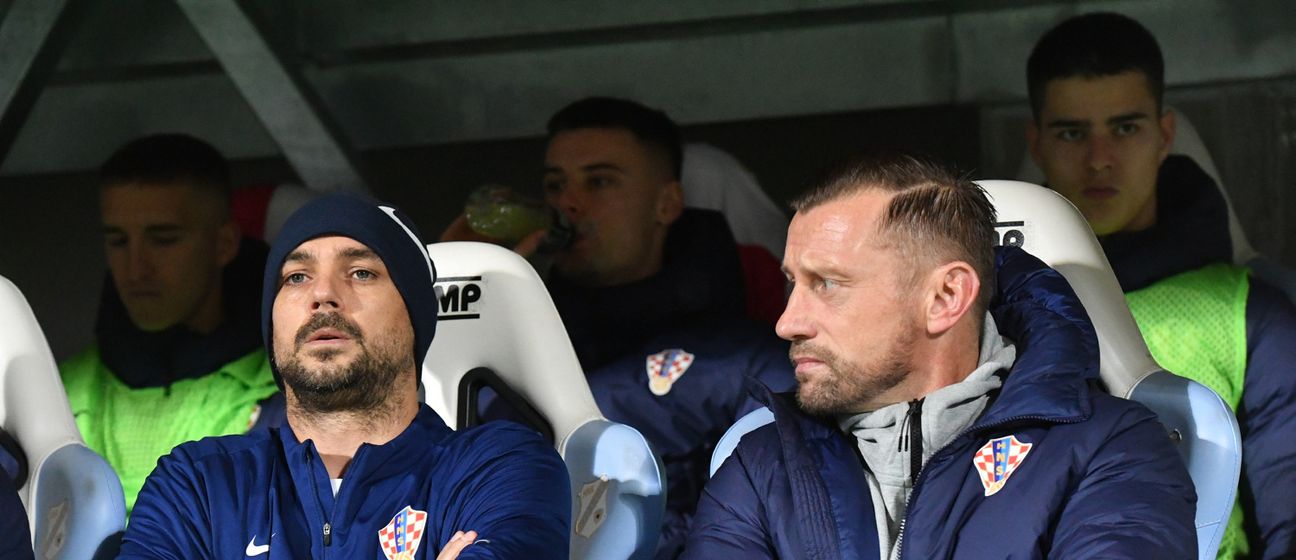 Niko Kranjčar i Ivica Olić