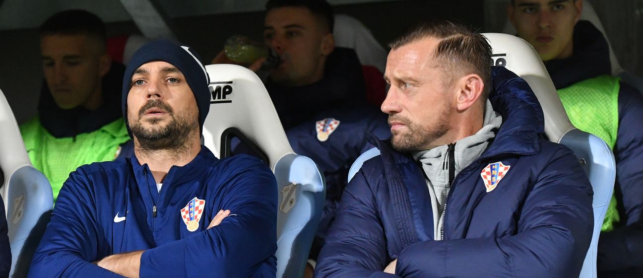 Niko Kranjčar i Ivica Olić