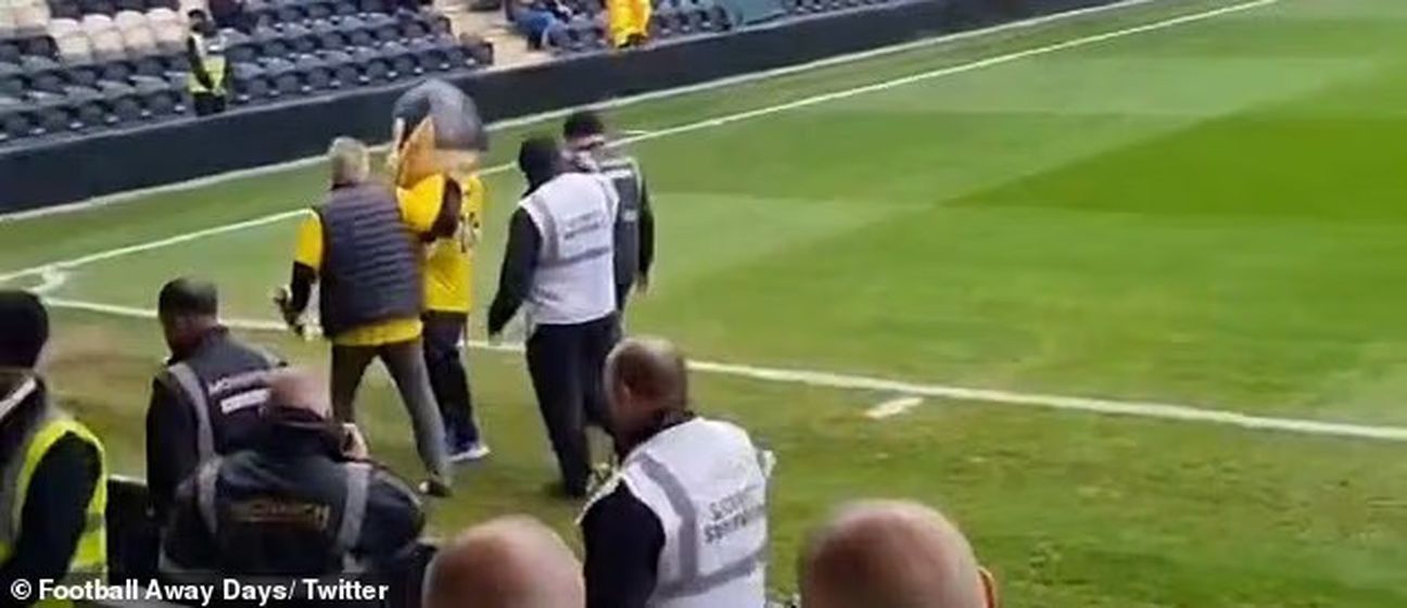 Maskota St Albans Cityja