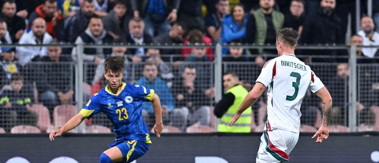 Esmir Bajraktarević