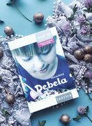 Knjiga Debela Silvije Šesto