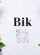 Bik