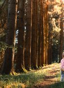 Boravak u prirodi ključan je za dobro zdravlje