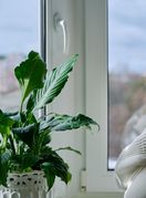 Prolazak kroz sve faze menopauze može olaškati i dobra informiranost