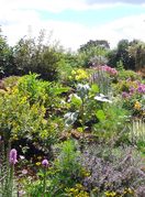 Kaotično vrtlarstvo