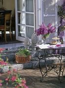 Glicinija je idealna za prekrivanje sjenica, metalnih struktura ili ograda te je lijep ukras pročelja kuća i garaža - 9