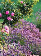 Travanjsko orezivanje je ključno