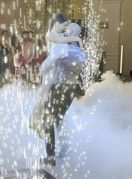 Par je prvi ples otplesao na pjesmu Tereze Kesovije