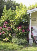 Šarmantna ljetna kućica uređena u neodoljivom shabby chic stilu - 4