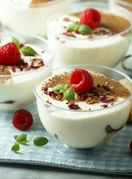 Ledeni desert od jogurta