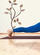 Chaturanga Dadasana