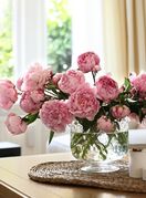 Cvijeće za svaki horoskopski znak