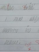 Poruka učenika učiteljici Ani koja je nasmijala Facebook