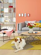 Koraljna boja u interijerima - 2