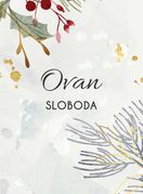 Jedna stvar koju vaš horoskopski znak želi više od ičega - 2