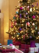 Šarena božićna drvca - 6