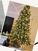 Božićna drva čitateljica portala zadovoljna.hr