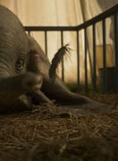 Scene iz Disneyjevog filma \'Dumbo\' o slavnom letećem sloniću - 5