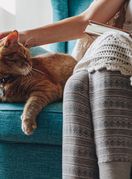 Možda vam zvijezde ovog tjedna pripremaju lijepo iznenađenje