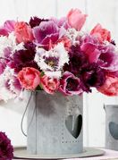 Resasti tulipani su predivan prizor