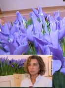 Arhitektica i floristica Boška Bahtijarević